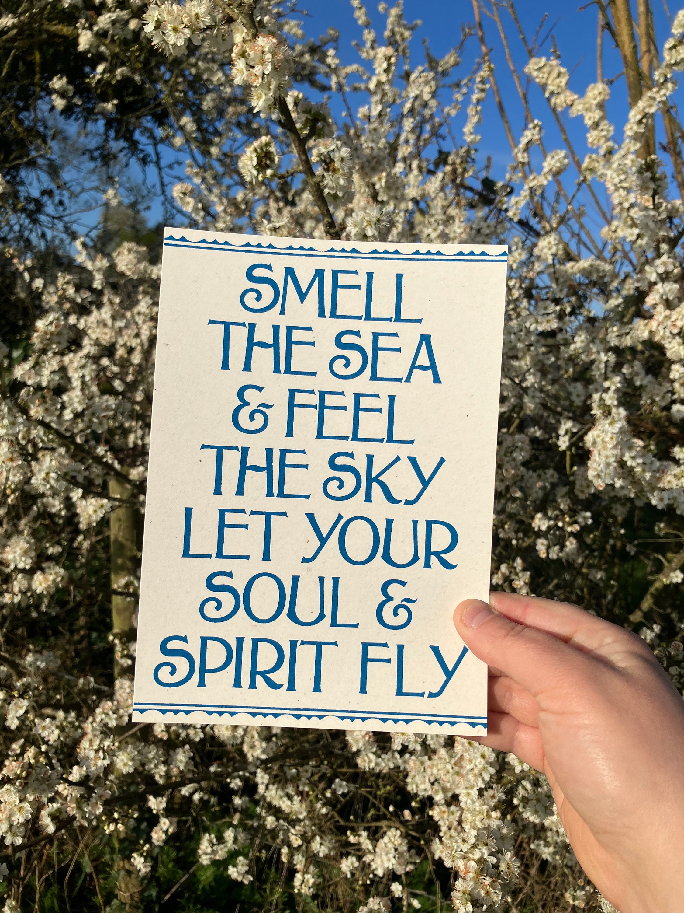 Smell the Sea and Feel the Sky, Let Your Soul and Spirit Fly, Into