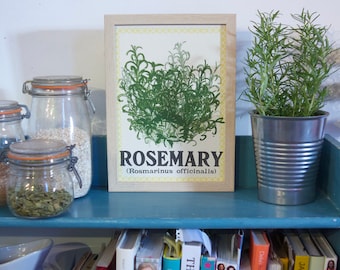 ROSEMARY Kitchen Herb Screenprint, kitchen artwork, kitchen wall art, print for kitchen, herbs house artwork series, plant prints, food art