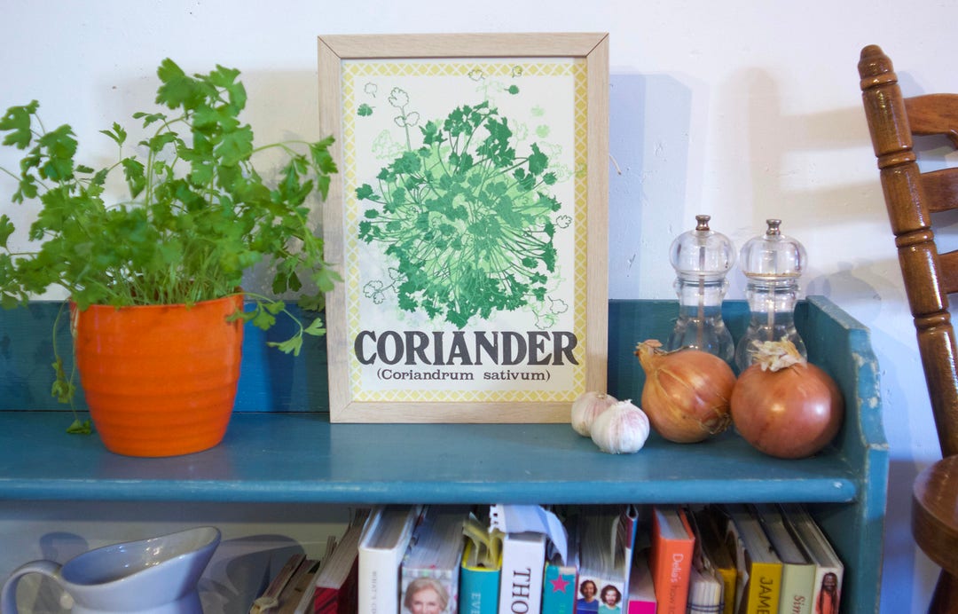 Screenprint Color Kitchen CORRIANDER Kitchen Herb Screenprint, Kitchen Artwork, Kitchen Wall Art ...