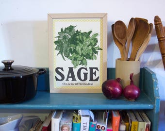 SAGE Kitchen Herb Screenprint, kitchen artwork, kitchen wall art, print for kitchen, herbs house artwork series, plant prints, food art