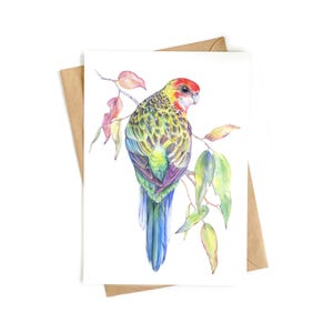 2 x Cartões de Saudação 'Rosella Oriental'