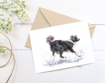 2 x Greeting Card 'Splash' Border Collie