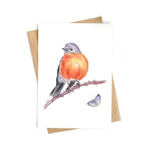 2 biglietti d'auguri 'Fiamma Robin'