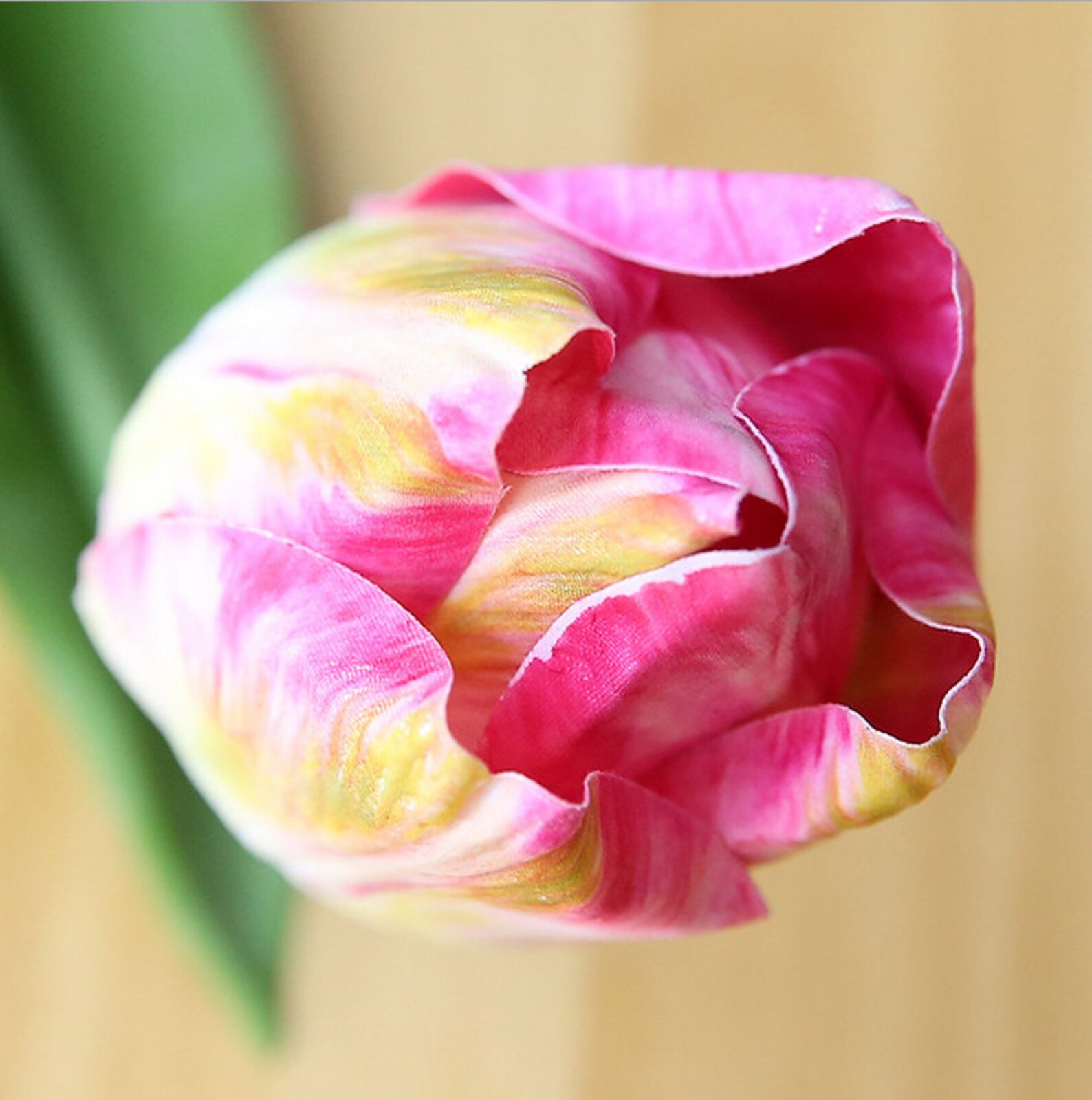 Real Touch Tulips Sile Tulips Ireland Tulips 10pcs Etsy