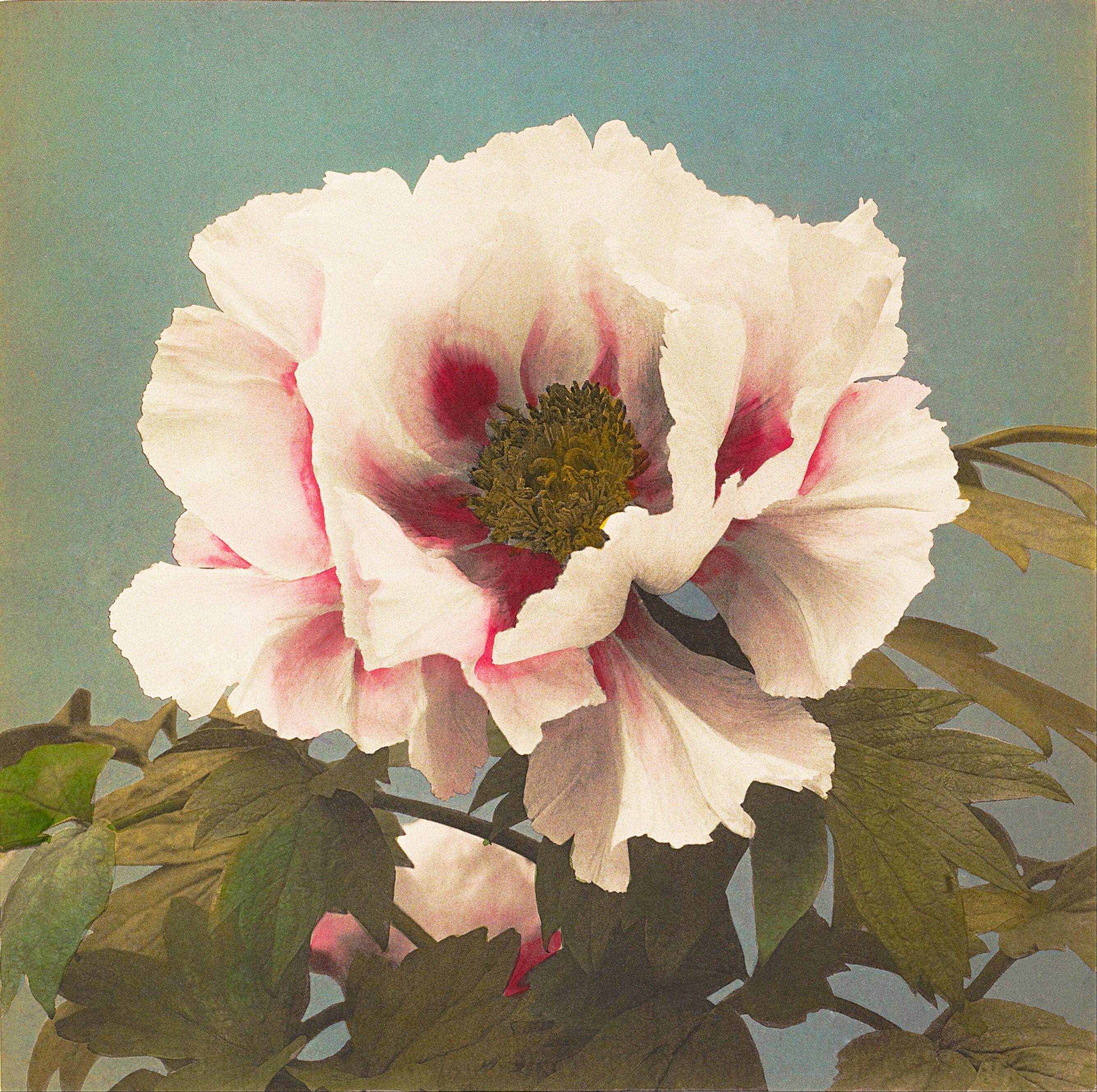 ヴィンセント・ヴァン・ゴッホ - 星月夜。ステンドグラスとキャンバス