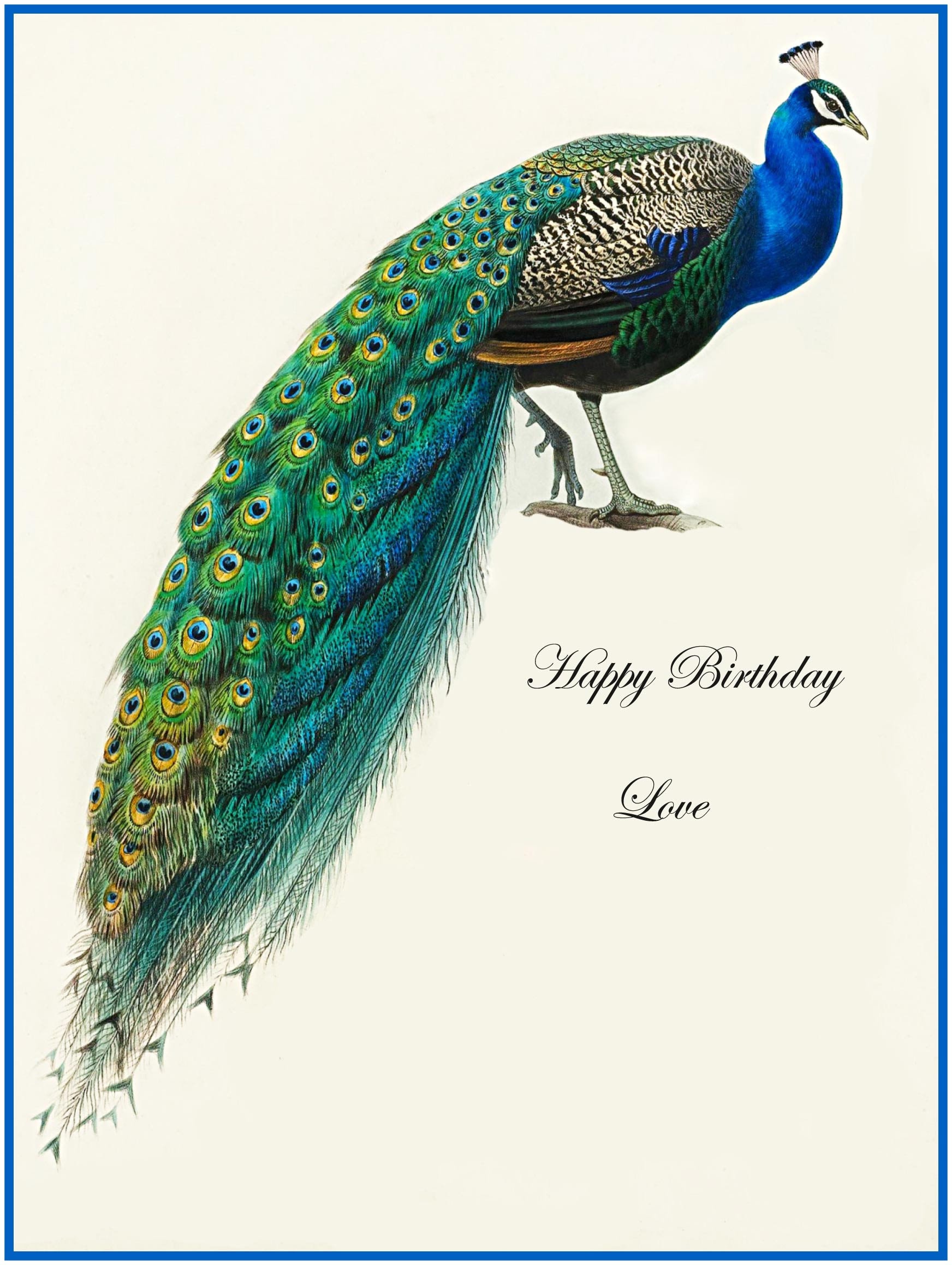 PBS Louis C. Tiffany Peacock Feather Shawl