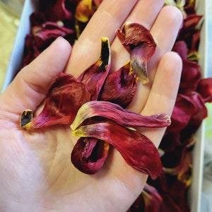 Box of natural dried tulip petals