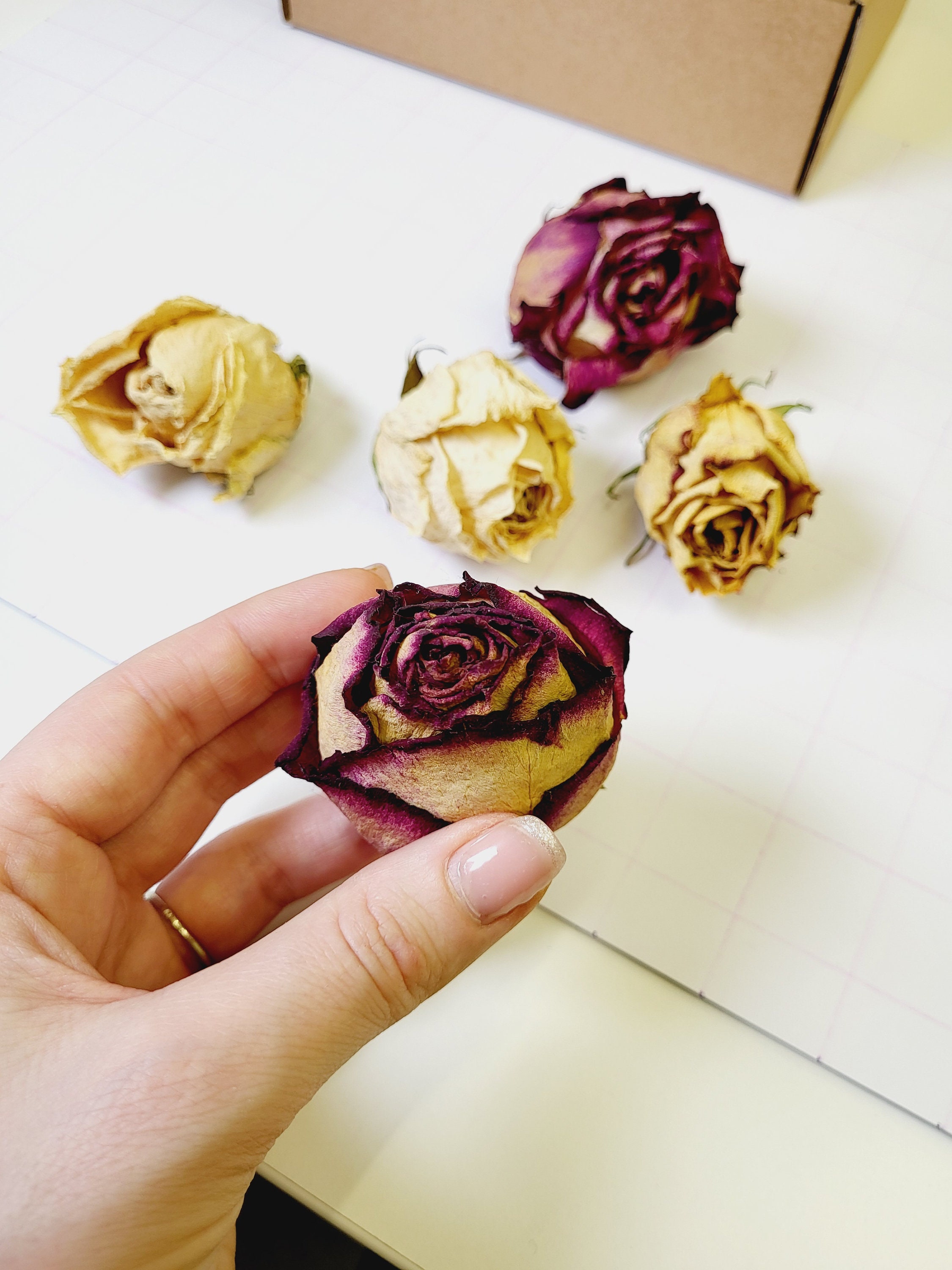 5pcs Natural big rose flowers dried
