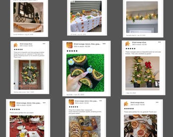 De vraies tranches d'orange séchée, de citron, de mandarine, de citron vert ou de pamplemousse séchés