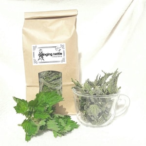 Nettle leaves Urtica dioica  tea 2025 harvest