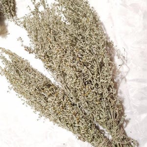 Peut inclure: Un bouquet d'armoise séchée de couleur vert clair, lié avec de la ficelle. L'herbe est utilisée à des fins médicinales et spirituelles.