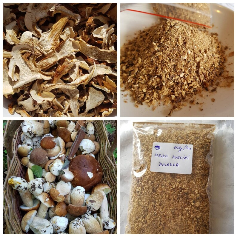 100g 2020 Dried Porcini mushrooms powder Boletus Edulis Etsy