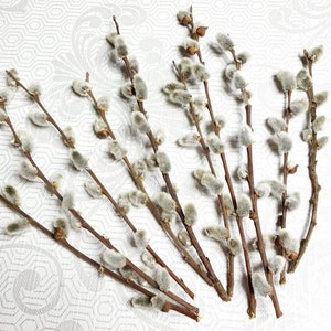 May include: A collection of pussy willow branches with soft, gray catkins and brown stems, arranged on a white patterned surface. The branches are of varying lengths and are a natural, rustic decorative element.