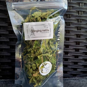 2025 stinging Nettle leaves Urtica dioica tea