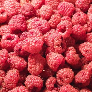 Pode incluir: Uma imagem em close-up de um monte de framboesas frescas e maduras. As bagas são de um vermelho vibrante, com uma superfície ligeiramente texturizada. A imagem é bem iluminada, destacando os detalhes da fruta. As framboesas parecem recém-colhidas e prontas para comer.