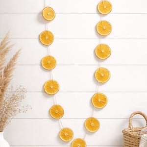 Dried orange, lemon, lime, grapefruit, blood orange, kiwi or pineapple slices image 10