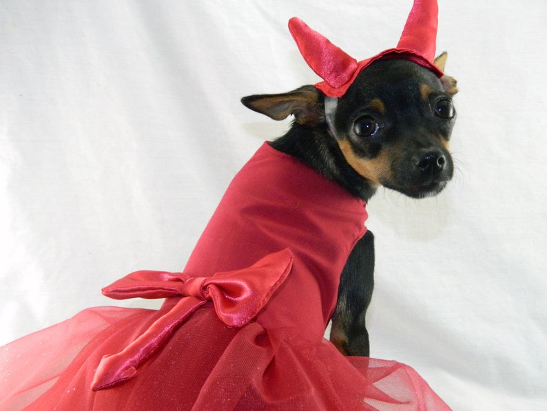 Little devil dog costume dress with horn headband XXSM Etsy