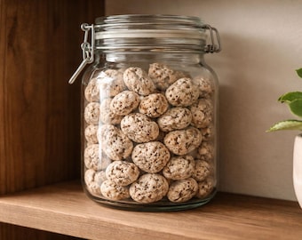 Natural Sea Stones - Porous Beach Finds for Sensory Play, Crafts & Decor