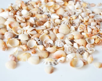 Tiny Natural Sea Shells, Assorted Mix for Craft, Decoration, Wedding, Nautical Beach Home Decor, Display bowls, 50 g