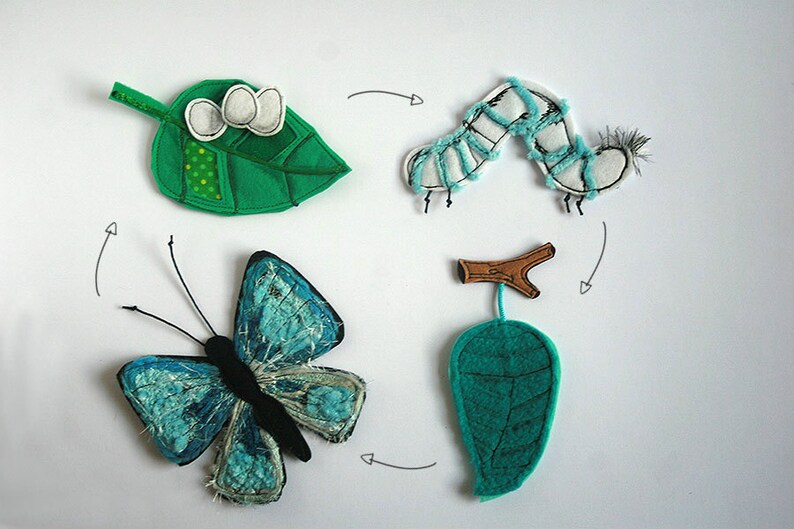 set of 4: leaf Butterfly life cycle felt playset caterpillar 2-12cm pupa butterfly eggs