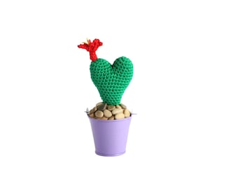 Home Decor, Accessories