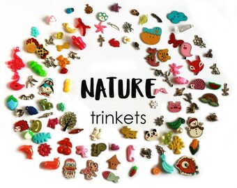 Nature Theme I Spy trinkets, 1-3cm, Set of 100