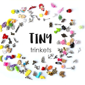 Puede incluir: Una colección de pequeños abalorios de diversas formas y colores, incluyendo una mariquita, una llave, un oso y un arcoíris. La palabra "TINY" está encima de la palabra "trinkets" en negro.