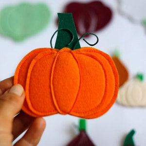 Felt veggies pieces, Play food vegetables, Handmade by TomToy, 2.5-7cm, 1 piece/Set pumpkin