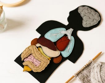 Felt Anatomy set Internal human organs, 30x20cm, body+10 organs