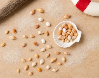 Tiny Treasures from the Shore - Natural Seashells for Crafts and More, 50g