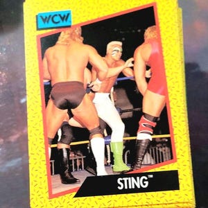 WCW (ワールド・チャンピオンシップ・レスリング) 写真集