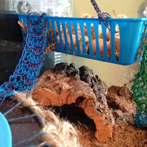 May include: A blue plastic basket suspended in a terrarium, filled with bedding. A blue and purple net hangs from the basket, and a green net hangs on the side. A piece of driftwood and sand are in the foreground.