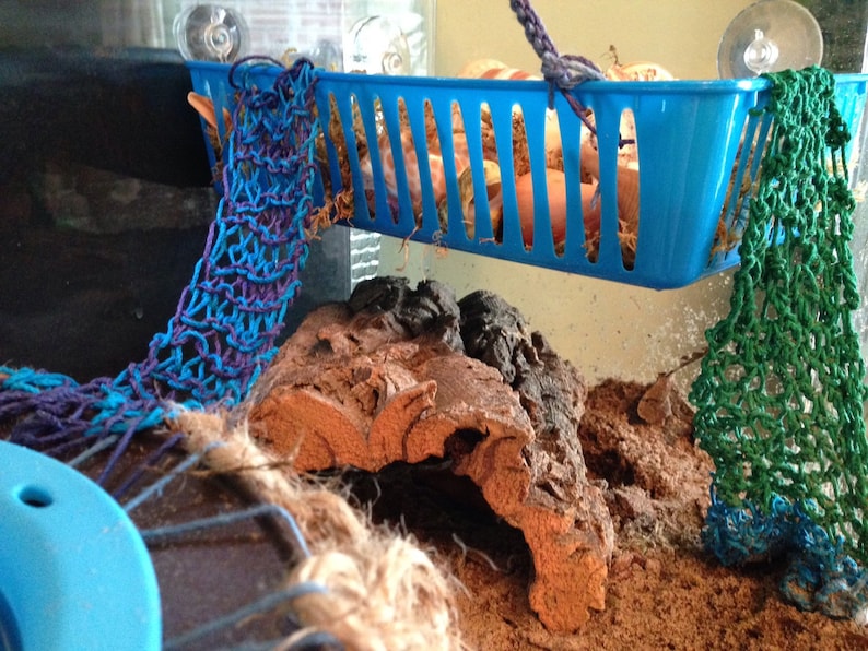 3 x 9 Hemp Climbing Net for Hermit Crab Habitats Etsy