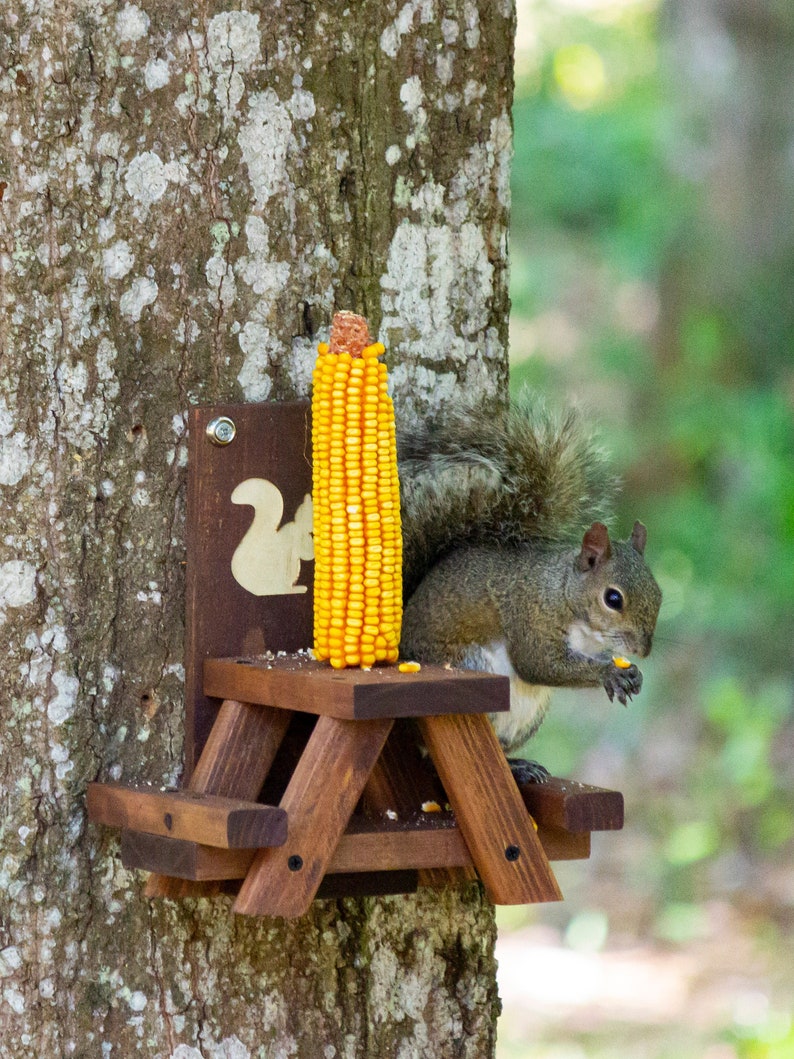Squirrel Picnic Table Squirrel Feeder Wood Table Chipmunk Etsy
