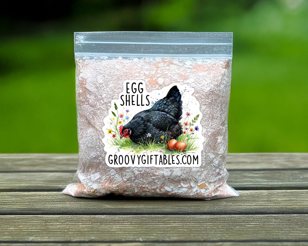 Rodent Shell Organic Chicken Egg Shells Crushed Ground, Supplemental Calcium Animals ...