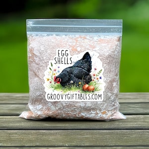 May include: A clear plastic bag filled with egg shells, resting on a wooden surface. A sticker on the bag features a black hen, eggs, and the words "EGG SHELLS" and "GROOVYGIFTABLES.COM". The background is blurred green.