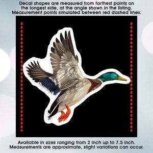 Mallard Duck Flying Artistic Design, Vinyl Decal Sticker Sizes 2 inch up to 7.5 inch, Waterproof & Durable image 3