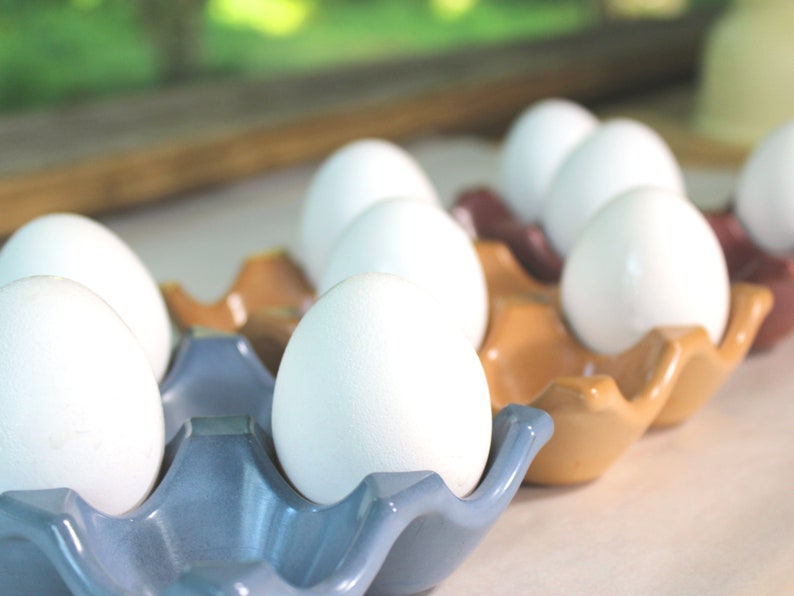 K&ouml;nnte beinhalten: Nahaufnahme eines blauen Eierkartons mit wei&szlig;en Eiern. Der Karton ist aus Keramik und hat ein wellenf&ouml;rmiges Design. Die Eier sind in einer Reihe angeordnet, wobei das vordere Ei im Fokus steht.