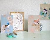 Limited Edition "Pretty Birds". Set of 4 different postcards.