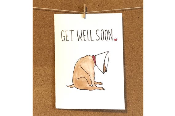 Get Well Soon Card w/ Sad Dog in Cone | Etsy