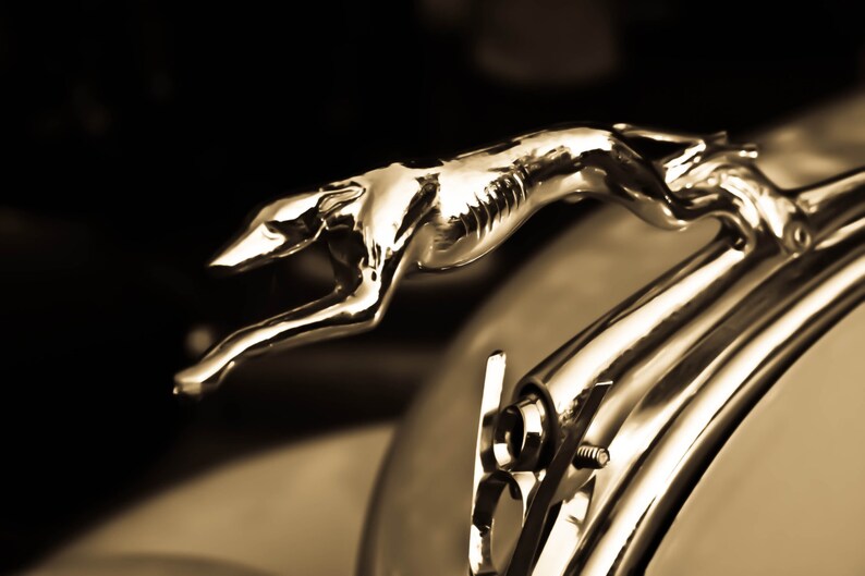 Classic Greyhound Hood Ornament From a 1930s Ford V8 Photography Print