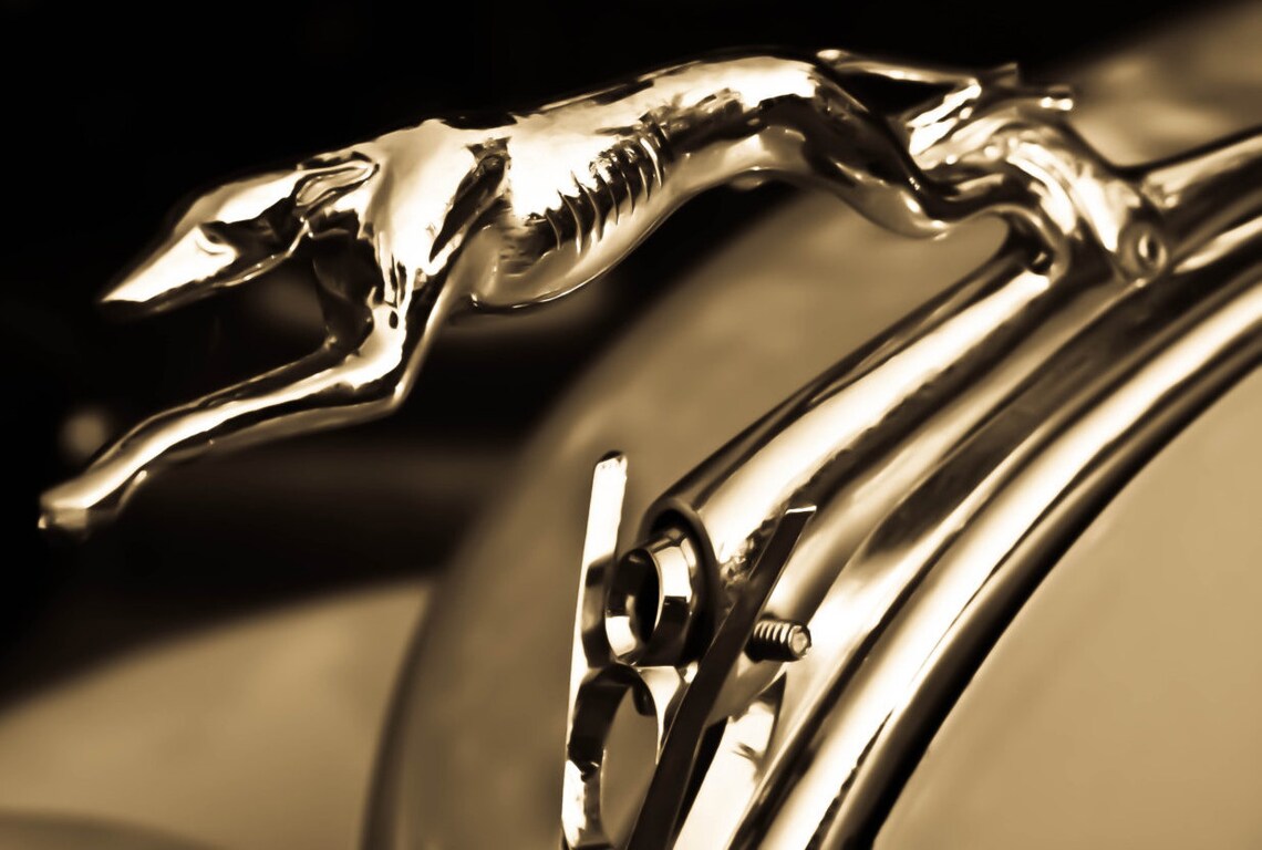 Classic Greyhound Hood Ornament From a 1930s Ford V8 - Etsy