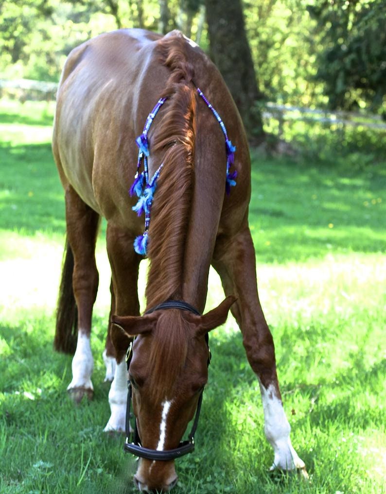 Rhythm And Beads Equine Ponies Horse Rhythm Beads for Horses Parades Rhythm Beads Horses Horse Riding Beads For Horses For Horses