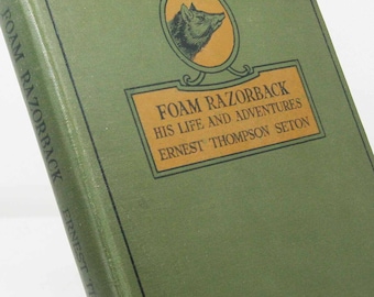Childrens animal Book Foam Razorback 1920s Vintage old book Childrens Stories illustrated gift kids book childs