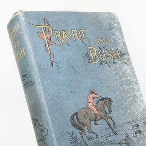 Prärie und Busch 1891 Antik Geschichtenbuch Kinderbuch Geschichte Abenteuer Geschenkideen