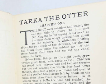 Tarka the Otter, Vintage 1960 Childrens Book Nature Stories Animal