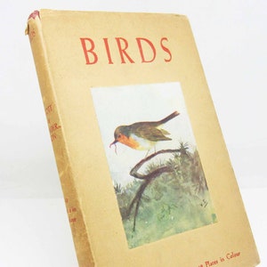 Bird Book vintage Illustrated 1940s Color pictures childrens Ornithology Hardback Gift