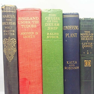 Antique and vintage Adopt a Book, 90+ years old books Loved hardback books Vintage Book for book lovers