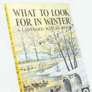 What to Look For in Winter – 1959 Vintage Bird Spotting Book, Illustrated Ornithology Guide, Classic Children’s Nature Collectible