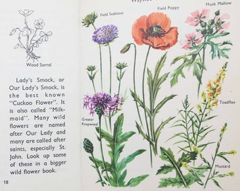 Book of Wild flowers in Britain 1962 Illustrated Guide Flower Picture book guide Vintage Garden Vintage books